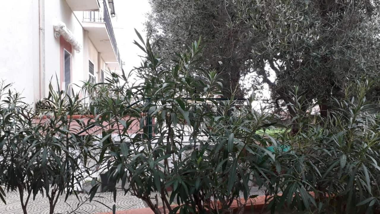 Cialoma Full Green Marina di Camerota Εξωτερικό φωτογραφία