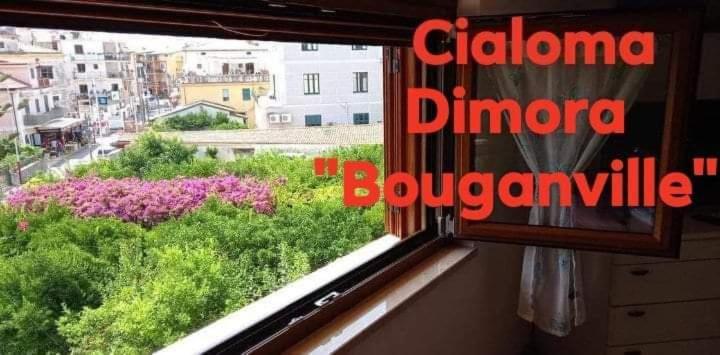 Cialoma Full Green Marina di Camerota Εξωτερικό φωτογραφία