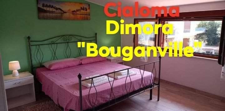 Cialoma Full Green Marina di Camerota Εξωτερικό φωτογραφία