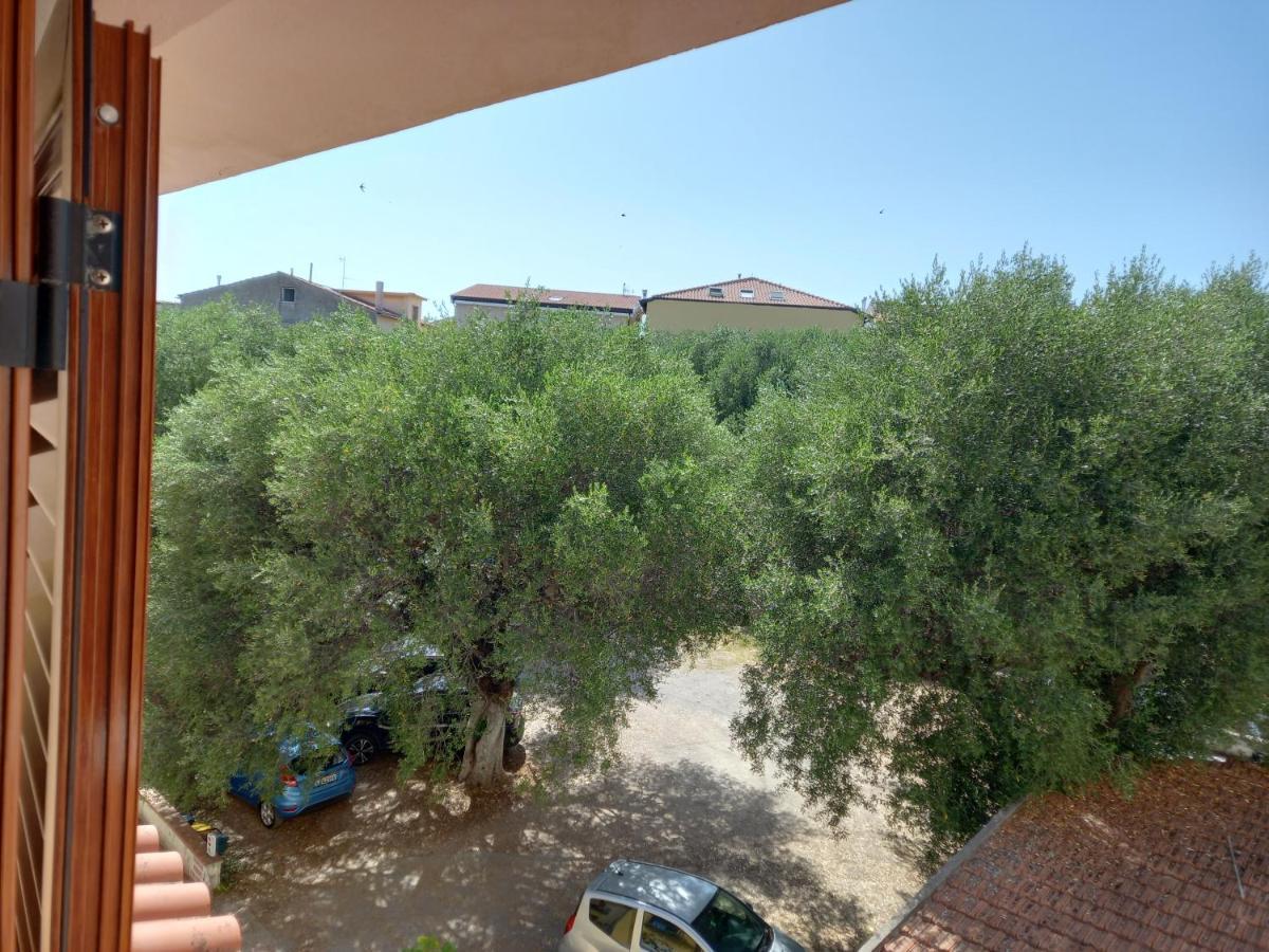 Cialoma Full Green Marina di Camerota Εξωτερικό φωτογραφία