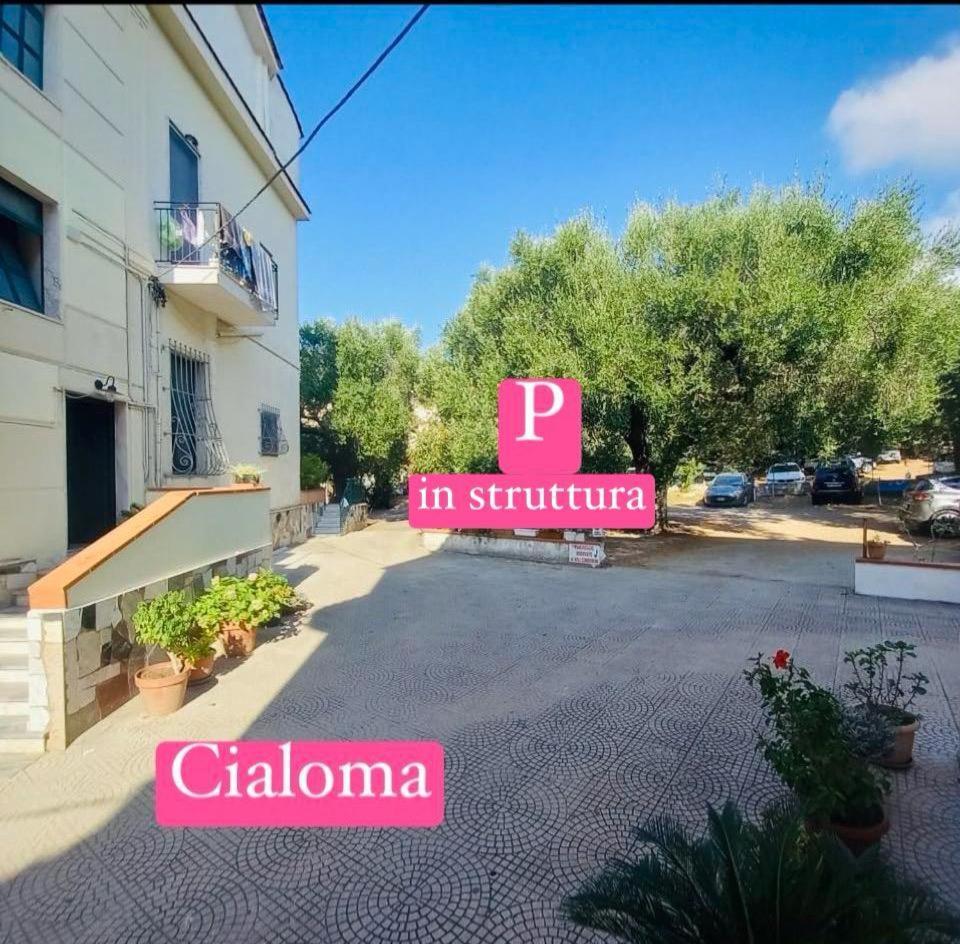Cialoma Full Green Marina di Camerota Εξωτερικό φωτογραφία